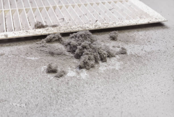 Best HVAC System Cleaning  in Stewartville, MN