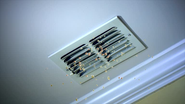 Best Emergency Air Duct Cleaning  in Stewartville, MN
