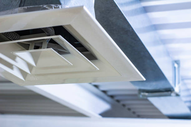 Air Duct Mold Removal in MN