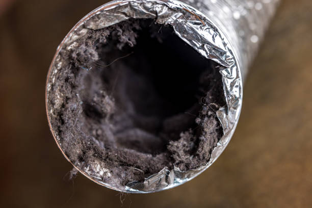 Best Ventilation Cleaning Services  in Stewartville, MN