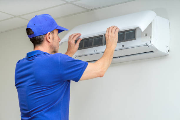 Best Dryer Vent Cleaning Services  in Stewartville, MN