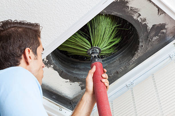 Best Professional Duct Cleaning Services  in Stewartville, MN
