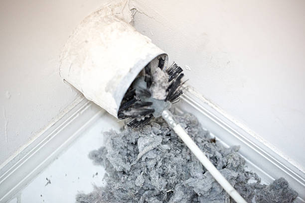 Best Home Air Vent Cleaning  in Stewartville, MN