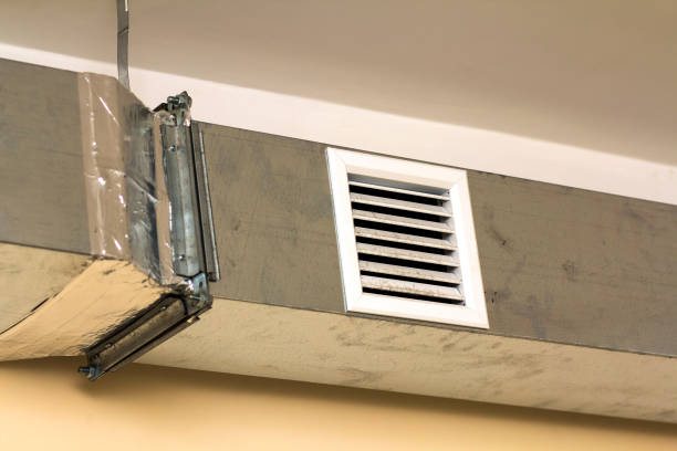 Best Local Air Duct Cleaning Services  in Stewartville, MN